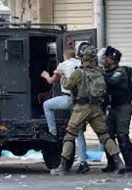 تنزيل (12).jpeg