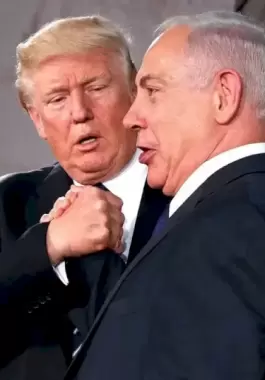ed8ad5d423d12a3d0461ef91438712ed-1747042943.webp