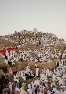الحجاج
