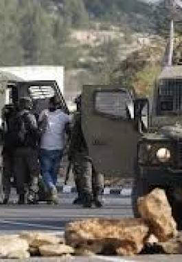 تنزيل (17).jpeg