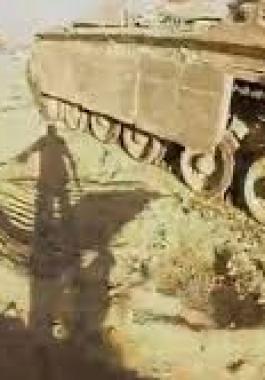 تنزيل (17).jpeg