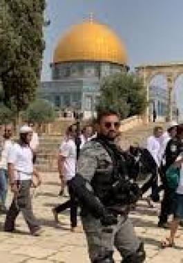 تنزيل (15).jpeg