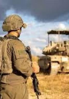 تنزيل (19).jpeg