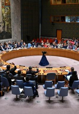 مجلس الامن.jpg-1892e5c2-090a-4c20-918c-1a65e73c4960.jpg