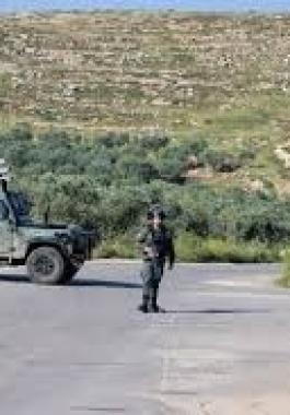 تنزيل (15).jpeg