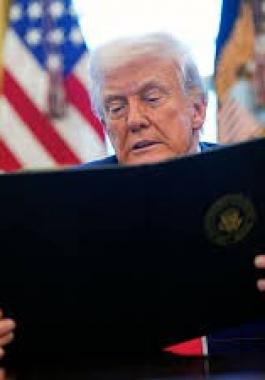 تنزيل (25).jpeg