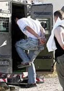 تنزيل (23).jpeg