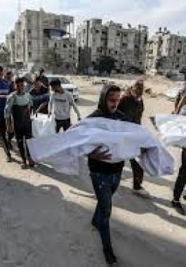 تنزيل (15).jpeg