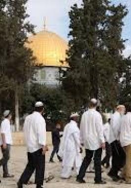 تنزيل (15).jpeg