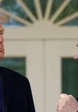 تنزيل (19).jpeg