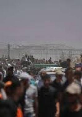 تنزيل (26).jpeg