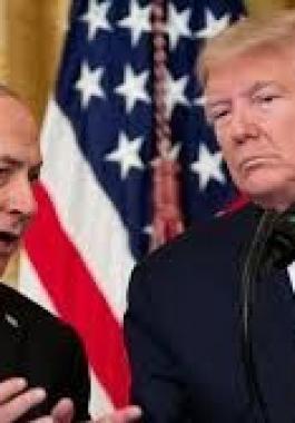 تنزيل (15).jpeg