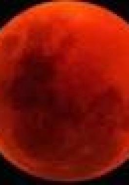 تنزيل (15).jpeg