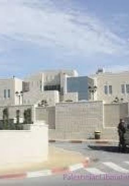 تنزيل (25).jpeg