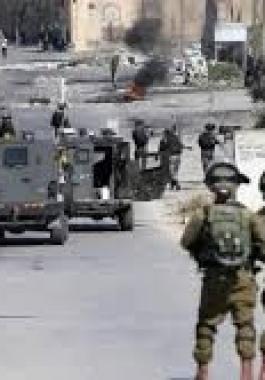 تنزيل (24).jpeg