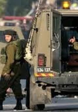 تنزيل (23).jpeg