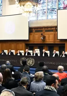 دعوى الإبادة الجماعية ضد إسرائيل