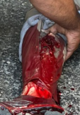 لقطة الشاشة 2025-10-21 205414.png