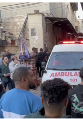 لقطة الشاشة 2025-10-24 102405.png