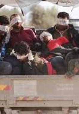 تنزيل (15).jpeg