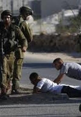 تنزيل (19).jpeg