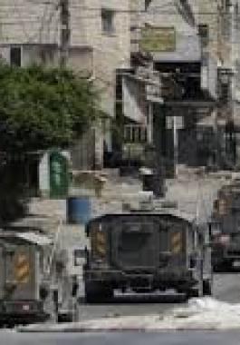 تنزيل (23).jpeg