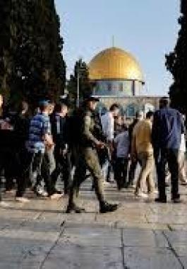 تنزيل (13).jpeg