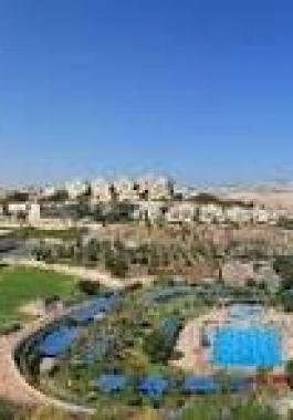 تنزيل (15).jpeg