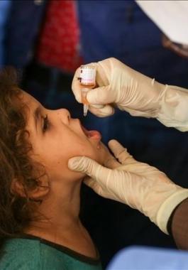 تطعيمات غزة