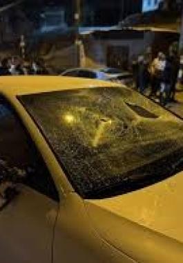 تنزيل (24).jpeg