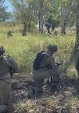 تنزيل (24).jpeg