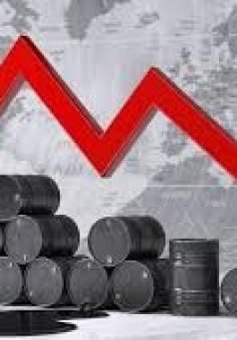 تنزيل (21).jfif