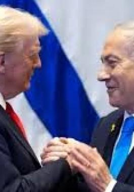 تنزيل (21).jfif