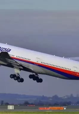 الطائرة الماليزية.webp