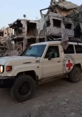 الصليب الاحمر