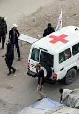 تنزيل (20).jpeg