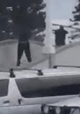 تنزيل (23).jpeg