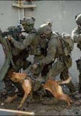 تنزيل (23).jfif