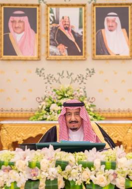 03269535-b056-4966-9684-df73858e31a8