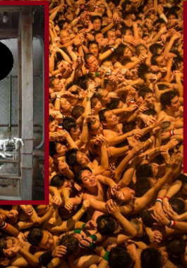 8-png-59741093221550728