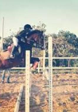 images (5)