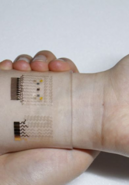 56f29007c361882a538b459e