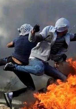 1dd0ec485f925e7b8a2d7a0044ef743e