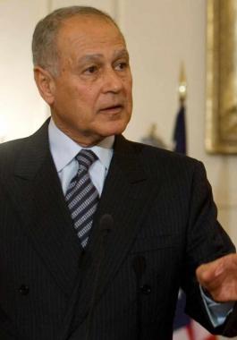 أحمد أبو الغيط