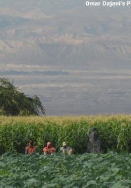 177473_389473934450476_1877889072_o