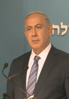 12096477_1203511183024633_2443470899793253228_n