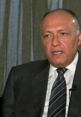 وزير-الخارجية-سامح-شكري11