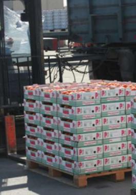 16c7ca649413e73bdbd800f21db049e4