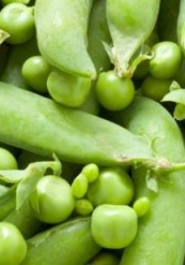 22-jpg-05999418700863148