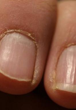 wqwq-jpg-83323034281221610